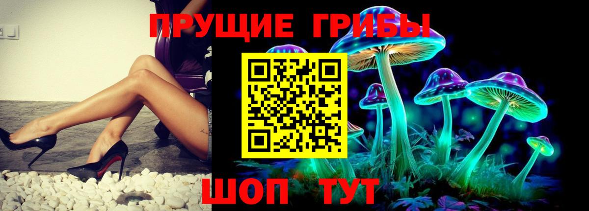 Псилоцибиновые грибы GOLDEN TEACHER  Галлюциногенные грибы MAGIC MUSHROOMS  Сосновоборск  Вход с VPN 